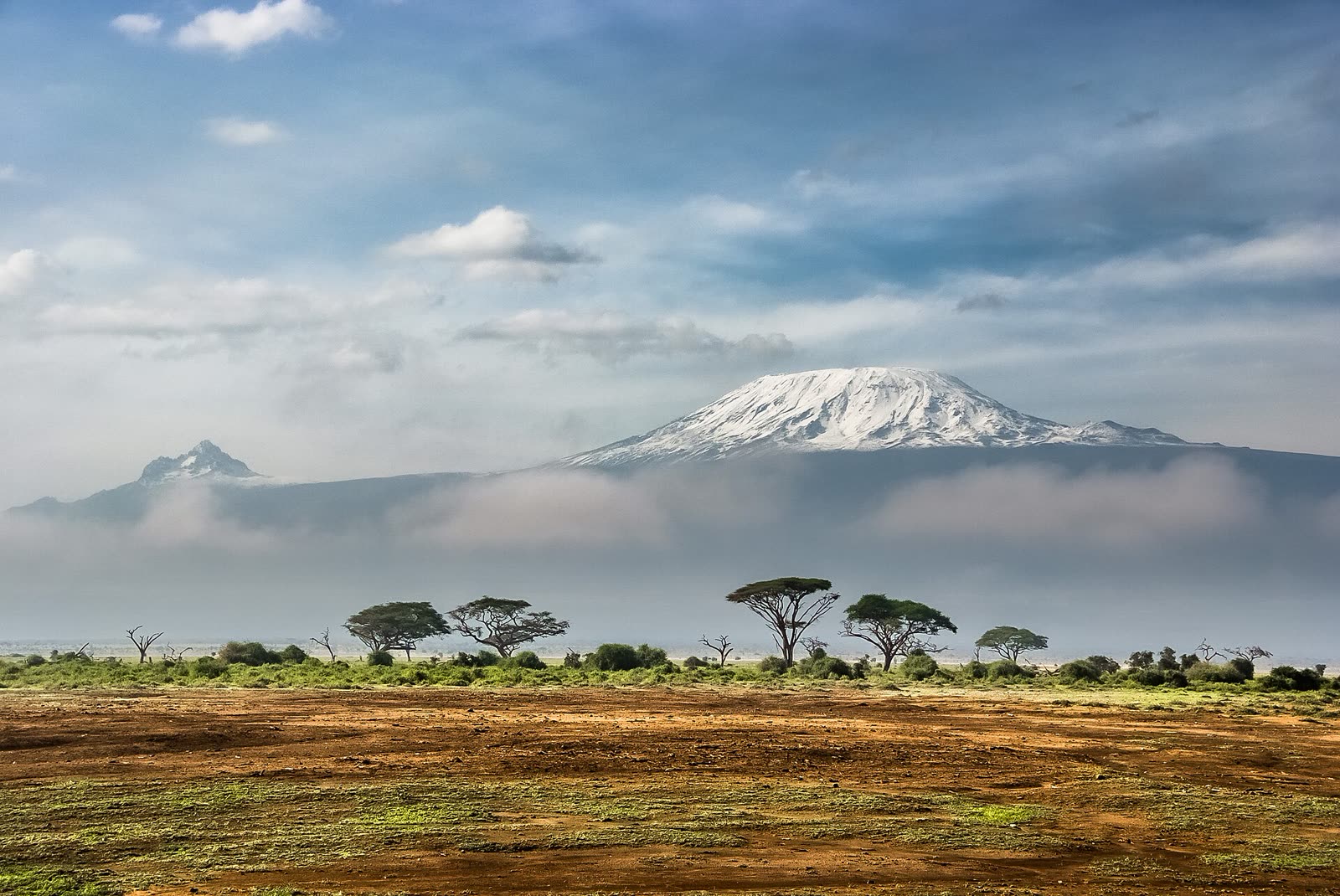 Le sommet enneigé du Kilimandjaro au-dessus des nuages et de la savane
